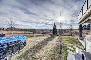 Photo 32: 69 Evansborough Green NW in Calgary: Evanston Detached for sale : MLS®# A2119653