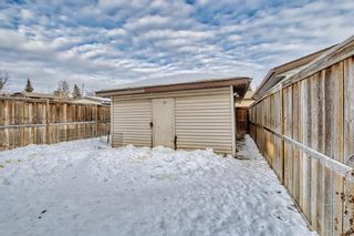 Photo 41: 56 Taraglen Road NE in Calgary: Taradale Detached for sale : MLS®# A2020379