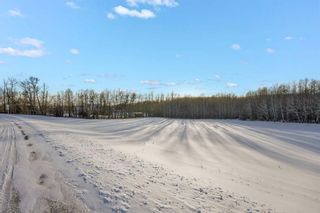 Photo 13: 5 Bruhn Bend: Rural Ponoka County Residential Land for sale : MLS®# A2102789