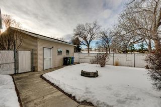 Photo 36: 220 Hunterbrook Place NW in Calgary: Huntington Hills Detached for sale : MLS®# A1059526