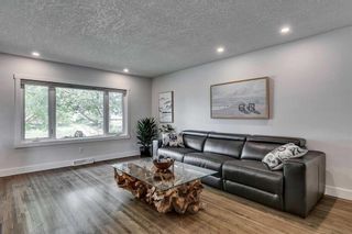 Photo 13: 12 Cawder Drive NW in Calgary: Collingwood Detached for sale : MLS®# A2055924