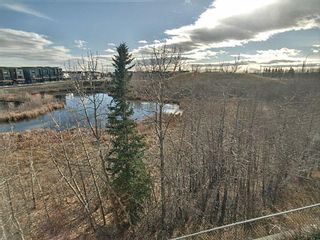 Photo 33: 36 Royal Highland Court NW in Calgary: Royal Oak Detached for sale : MLS®# A1158293