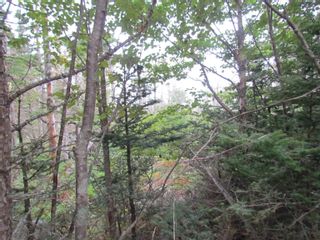 Photo 14: 25A 2 Atlantic Street in Blind Bay: 40-Timberlea, Prospect, St. Marg Vacant Land for sale (Halifax-Dartmouth)  : MLS®# 202319501
