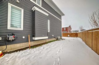 Photo 37: 93 Red Sky Road NE in Calgary: Redstone Detached for sale : MLS®# A2123684