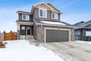 Photo 38: 129 Rainbow Falls Heath: Chestermere Detached for sale : MLS®# A1184376