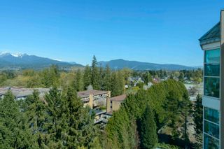Photo 19: 1009 12148 224 Street in Maple Ridge: East Central Condo for sale in "PANORAMA" : MLS®# R2869233