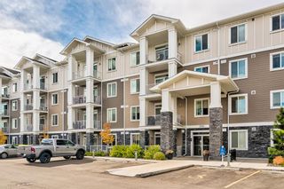 Photo 30: 3211 522 Cranford Drive SE in Calgary: Cranston Apartment for sale : MLS®# A1163835