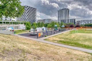 Photo 29: 118 930 Centre Avenue NE in Calgary: Bridgeland/Riverside Apartment for sale : MLS®# A1245278