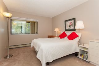 Photo 14: 304 1526 GEORGE Street: White Rock Condo for sale in "SIR PHILIP" (South Surrey White Rock)  : MLS®# R2208619