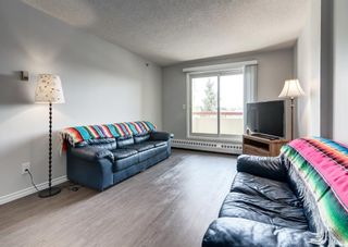 Photo 14: 405 2011 University Drive NW in Calgary: University Heights Apartment for sale : MLS®# A1223061
