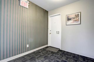 Photo 23: 12 101 25 Avenue SW in Calgary: Mission Apartment for sale : MLS®# A1158826