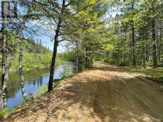 Photo 38: - Canoose Stream Road in Canoose: Vacant Land for sale : MLS®# NB073754