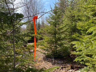 Photo 22: Lot 20 Lakeside Drive in Little Harbour: 108-Rural Pictou County Vacant Land for sale (Northern Region)  : MLS®# 202304930
