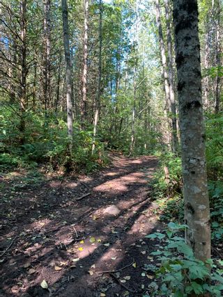 Photo 2: 30AC DAWSON Road in Abbotsford: Sumas Mountain Land for sale in "Sumas Mountain" : MLS®# R2621522