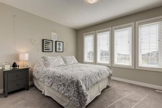 Photo 31: 689 Nolan Hill Boulevard NW in Calgary: Nolan Hill Detached for sale : MLS®# A1226864