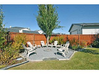 Photo 17: 78 CRAMOND Circle SE in CALGARY: Cranston Residential Detached Single Family for sale (Calgary)  : MLS®# C3539860