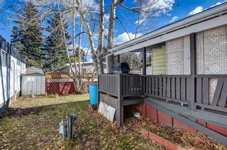 Photo 24: 107 3223 83 Street NW in Calgary: Greenwood/Greenbriar Mobile for sale : MLS®# A2088211