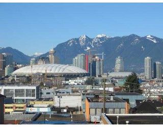 Photo 8: 303 338 W 8TH Avenue in Vancouver: Mount Pleasant VW Condo for sale (Vancouver West)  : MLS®# V701015