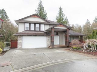 Photo 1: 23724 114A Avenue in Maple Ridge: Cottonwood MR House for sale in "GILKER HILL ESTATES" : MLS®# R2049062