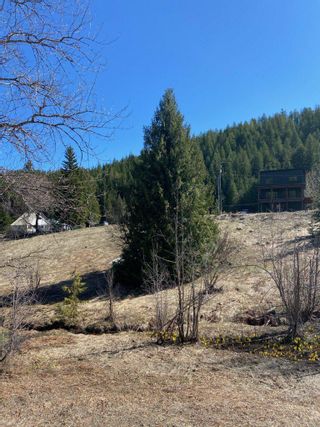 Photo 2: 201 JOLIFFE WAY in Rossland: Vacant Land for sale : MLS®# 2475917