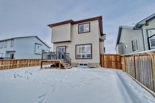 Photo 15: 236 Ranch Close: Strathmore Detached for sale : MLS®# A2021103