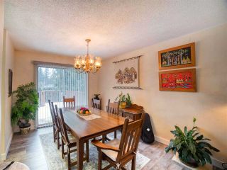 Photo 15: 20073 42 Avenue in Langley: Brookswood Langley House for sale : MLS®# R2538938