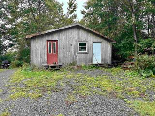Photo 4: 49 Crockett Road in White Hill: 108-Rural Pictou County Residential for sale (Northern Region)  : MLS®# 202319014