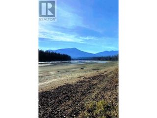 Photo 17: 41055 GRAY ROAD in Prince George: House for sale : MLS®# R2827341