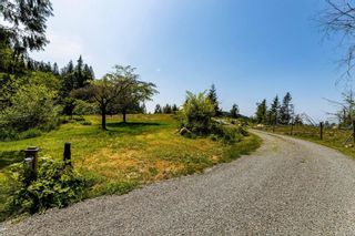 Photo 17: 37777 TAGGART Road in Abbotsford: Sumas Mountain House for sale : MLS®# R2812807