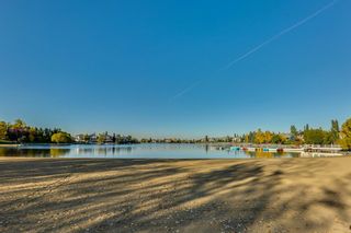 Photo 46: 33 Mckinley Bay SE in Calgary: McKenzie Lake Detached for sale : MLS®# A2027542
