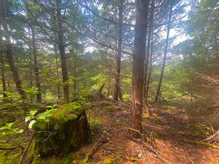 Photo 8: LOT 11 DISTRICT LOT 71 AND 77: Galiano Island Land for sale (Islands-Van. & Gulf)  : MLS®# R2706173