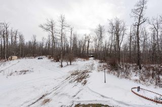 Photo 11: 51558 RGE RD 212 A: Rural Strathcona County House for sale : MLS®# E4271622