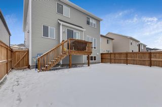 Photo 44: 61 Windford Park SW: Airdrie Detached for sale : MLS®# A1170299