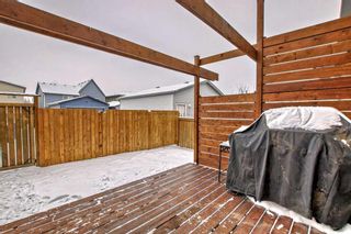 Photo 36: 114 Walden Crescent SE in Calgary: Walden Detached for sale : MLS®# A2105187