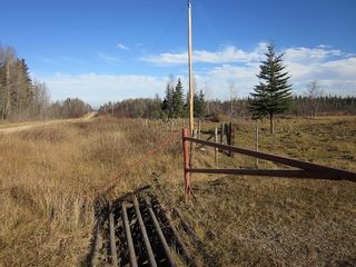 Photo 19: NW 24-54 RR 131: Niton Junction Rural Land for sale (Edson)  : MLS®# 32590