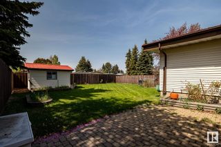 Photo 19: 3520 104 Street in Edmonton: Zone 16 House for sale : MLS®# E4331400