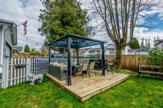 Photo 29: 12186 LAITY Street in Maple Ridge: West Central House for sale : MLS®# R2771478