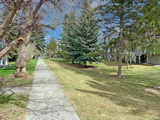 Photo 25: 511 Regal Park NE in Calgary: Renfrew Row/Townhouse for sale : MLS®# A1213894