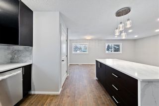 Photo 9: 100 DOVERVIEW Place SE in Calgary: Dover Detached for sale : MLS®# A1024220