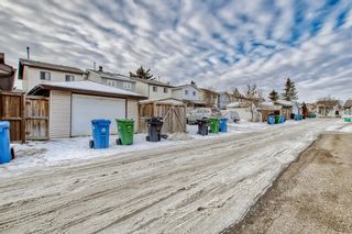 Photo 45: 56 Taraglen Road NE in Calgary: Taradale Detached for sale : MLS®# A2020379
