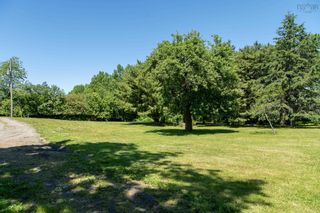 Photo 15: 2314 Clementsvale Road in Bear River: Annapolis County Vacant Land for sale (Annapolis Valley)  : MLS®# 202213630