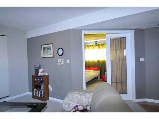 Photo 10: 21076 118TH Avenue in Maple Ridge: Southwest Maple Ridge House for sale : MLS®# V1046203
