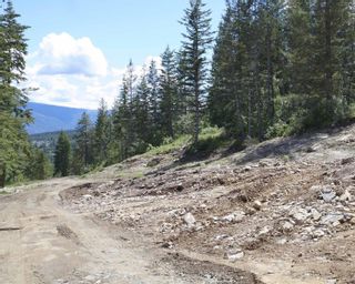 Photo 15: #21 251 Old Salmon Arm Road, in Enderby: Vacant Land for sale : MLS®# 10255517