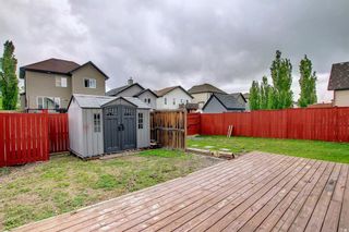Photo 48: 19 Wiley Crescent: Red Deer Detached for sale : MLS®# A1227655