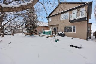 Photo 26: 1197 Panorama Hills Landing NW in Calgary: Panorama Hills Detached for sale : MLS®# A2031825