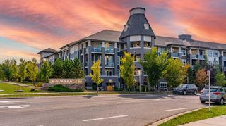 Main Photo: 345 25 Auburn Meadows Avenue SE in Calgary: Auburn Bay Apartment for sale : MLS®# A2081567