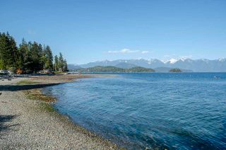 Photo 6: 1229 POINT Road in Gibsons: Gibsons & Area House for sale (Sunshine Coast)  : MLS®# R2572392