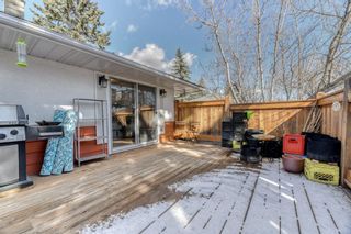 Photo 37: 3804 31 Street SW in Calgary: Rutland Park Detached for sale : MLS®# A1195883