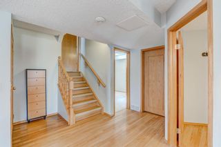 Photo 20: 303 EDGEBROOK GARDENS Gardens NW in Calgary: Edgemont Detached for sale : MLS®# A1252886