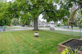Photo 29: 447 Scotia Street in Winnipeg: Scotia Heights Residential for sale (4D)  : MLS®# 202222972